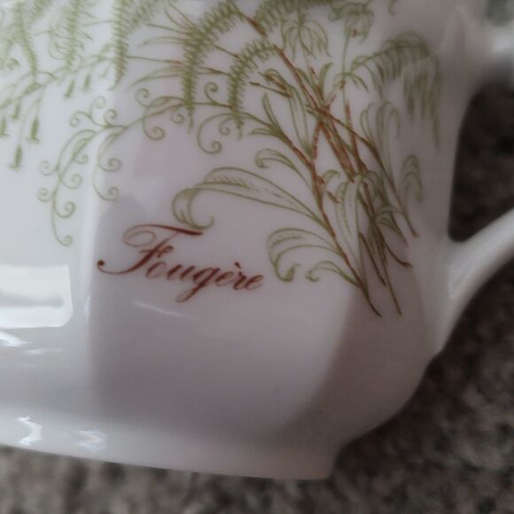 Gallo Leonardo Fougere Sommerfarn Cup and Saucer - Picture 7 of 8